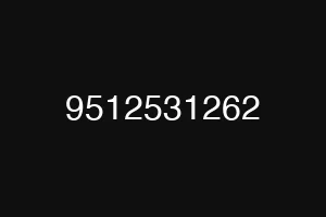9512531262