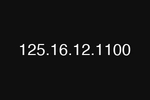 125.16.12.1100