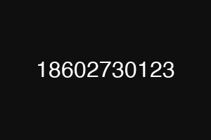 18602730123