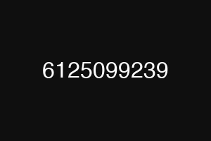 6125099239