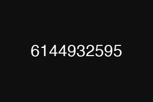 6144932595