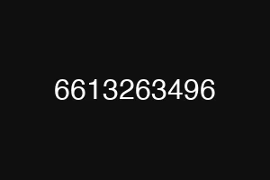 6613263496