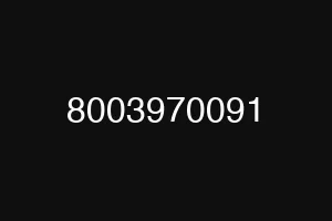 8003970091