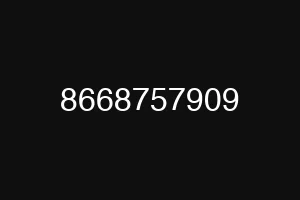 8668757909