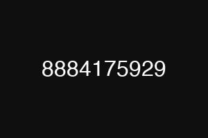 8884175929