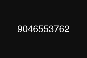 9046553762