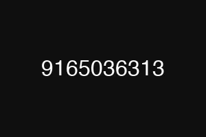 9165036313